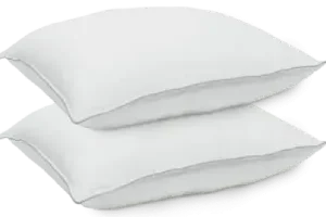 Oreiller mémoire (2 Pièces)
